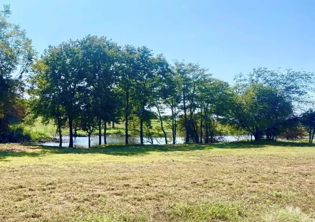 Photo 2 of Land for sale at 305 Sailview Ct, Honey Grove, TX 75446 | MLS# 21387715 | Listing updated on 2026-09-25