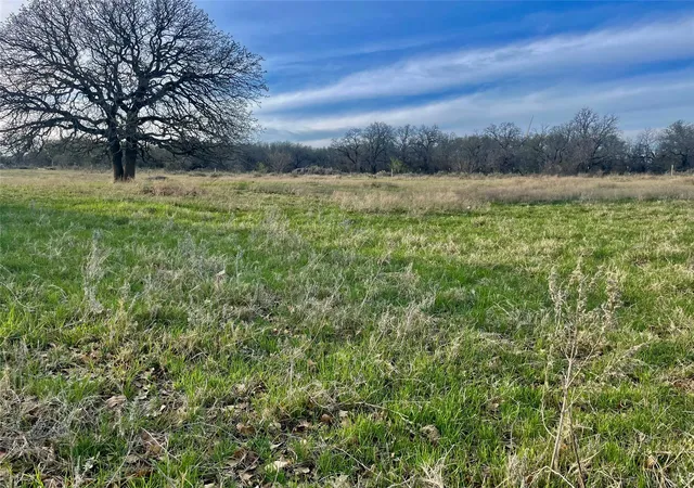 Photo 4 of Land for sale at 000 Highway 590, Comanche, TX 76442 | MLS# 21387846 | Listing updated on 2026-09-16