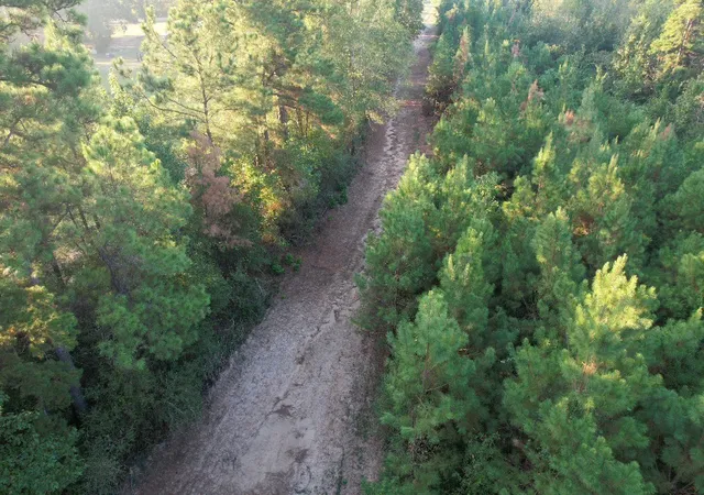 Photo 2 of Land for sale at Tbd Farm To Market 3343, Joaquin, TX 75954 | MLS# 21387945 | Listing updated on 2026-09-21