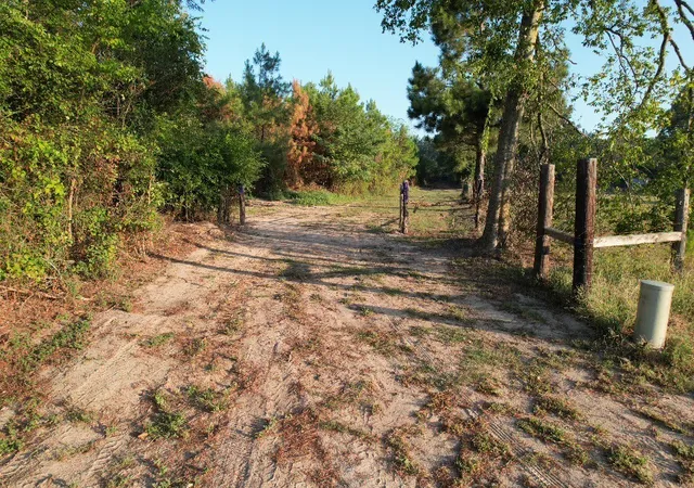 Photo 3 of Land for sale at Tbd Farm To Market 3343, Joaquin, TX 75954 | MLS# 21387945 | Listing updated on 2026-09-21
