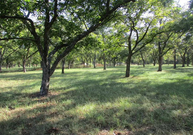 Photo 1 of Land for sale at 160 Rains County Rd 2181, Emory, TX 75440 | MLS# 21388023 | Listing updated on 2026-09-17