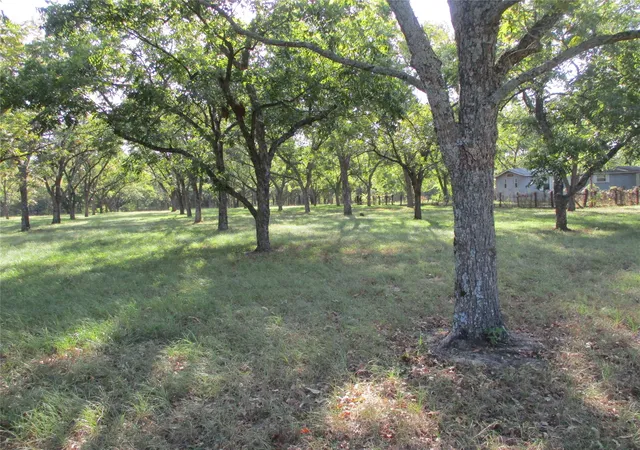 Photo 2 of Land for sale at 160 Rains County Rd 2181, Emory, TX 75440 | MLS# 21388023 | Listing updated on 2026-09-17