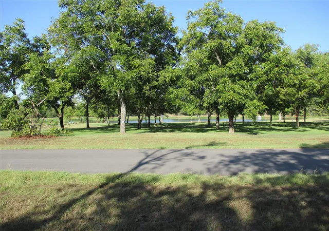 Photo 3 of Land for sale at 160 Rains County Rd 2181, Emory, TX 75440 | MLS# 21388023 | Listing updated on 2026-09-17