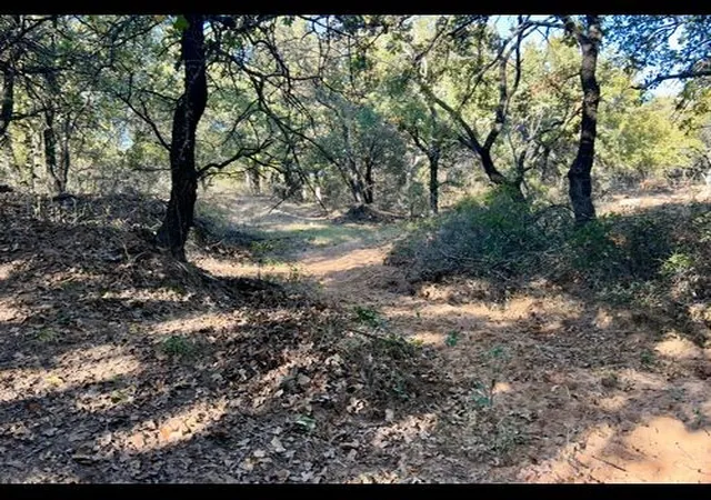 Land for sale at Tbd County Rd 357, Gorman, TX 76454 | MLS# 21388035