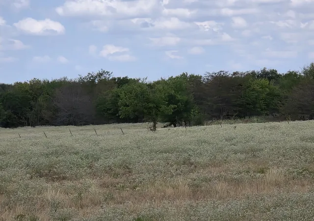 Photo 4 of Land for sale at Tbd Fm 904, Commerce, TX 75428 | MLS# 21388146 | Listing updated on 2026-10-01