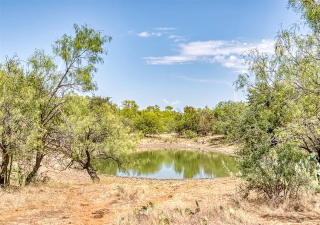 Land for sale at Tbd County Rd 306, Moran, TX 76464 | MLS# 21384244