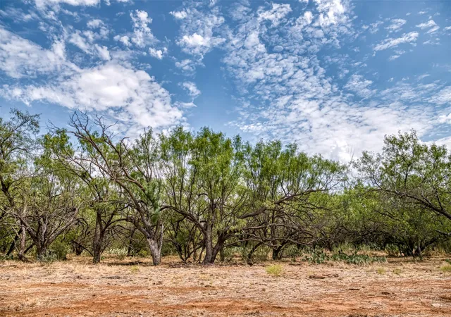 Photo 2 of Land for sale at Tbd County Rd 306, Moran, TX 76464 | MLS# 21384244 | Listing updated on 2026-09-17