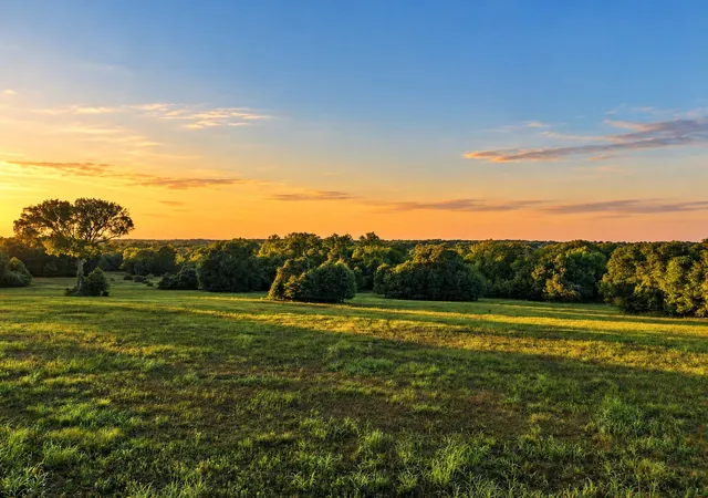 Photo 1 of Land for sale at 10277 Mount Fls School Rd, Washington, TX 77880 | MLS# 21387561 | Listing updated on 2026-09-16
