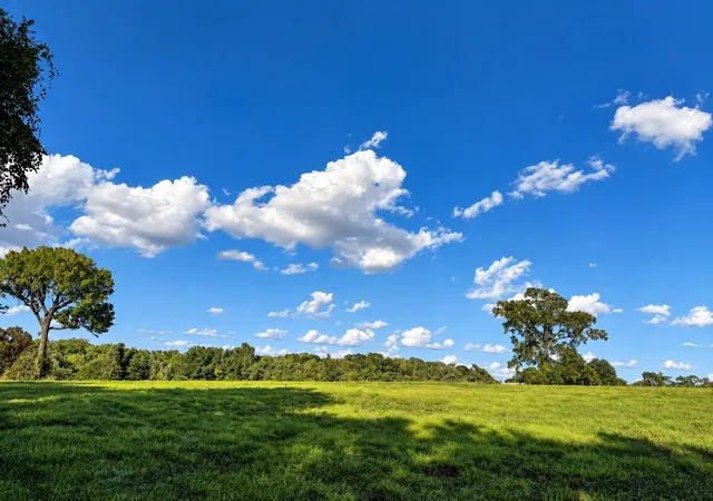 Photo 3 of Land for sale at 10277 Mount Fls School Rd, Washington, TX 77880 | MLS# 21387561 | Listing updated on 2026-09-16