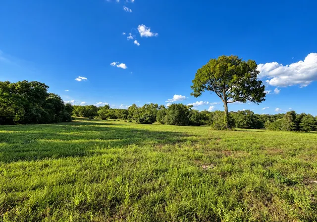 Photo 3 of Land for sale at 10277 Mount Fls School Rd, Washington, TX 77880 | MLS# 21387561 | Listing updated on 2026-09-16