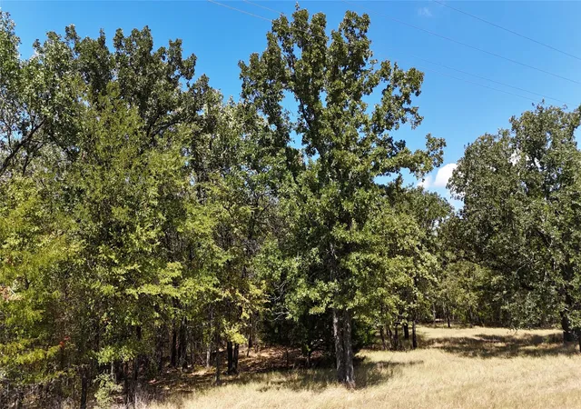 Photo 3 of Land for sale at Lot 22 Loper Cir, Streetman, TX 75859 | MLS# 21387851 | Listing updated on 2026-09-17