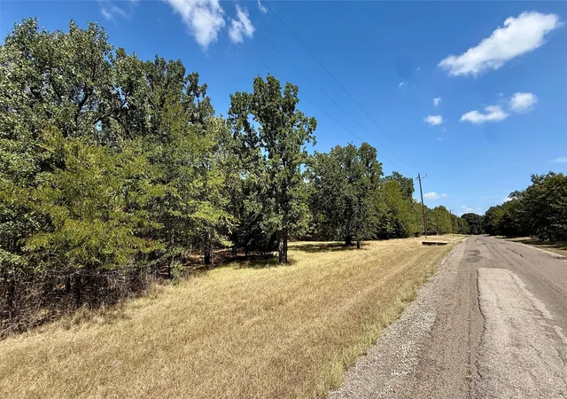 Photo 4 of Land for sale at Lot 22 Loper Cir, Streetman, TX 75859 | MLS# 21387851 | Listing updated on 2026-09-17