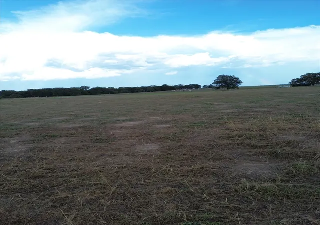 Photo 4 of Land for sale at 0 Grant Prairie Rd #5, Franklin, TX 77856 | MLS# 21381520 | Listing updated on 2026-10-01