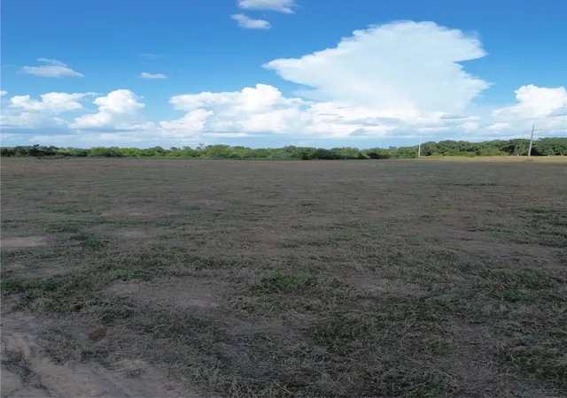 Photo 4 of Land for sale at 0 Grant Prairie Rd #3, Franklin, TX 77856 | MLS# 21380454 | Listing updated on 2026-10-01