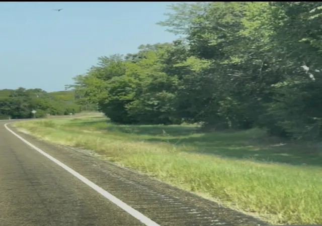 Photo 3 of Land for sale at 0000 Fm 2728 Rd #3, Terrell, TX 75161 | MLS# 21388959 | Listing updated on 2026-10-05