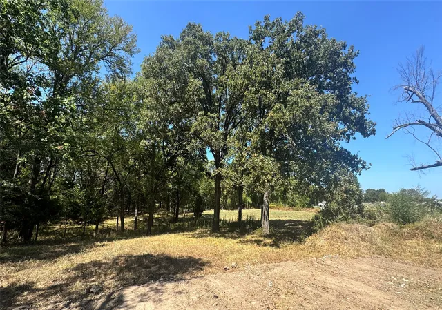 Photo 3 of Land for sale at 383 Rs County Rd 1605, Point, TX 75472 | MLS# 21388987 | Listing updated on 2026-09-17