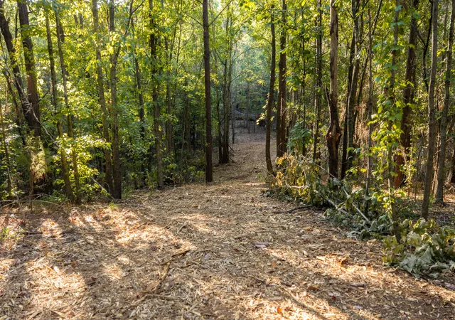 Photo 1 of Land for sale at Tbd Fm 2015, Tyler, TX 75708 | MLS# 21389056 | Listing updated on 2026-09-17