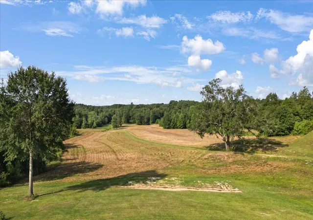 Photo 3 of Single family home for sale at 102 Private Rd 3174, Gilmer, TX 75644 | MLS# 21389266 | Listing updated on 2026-09-17