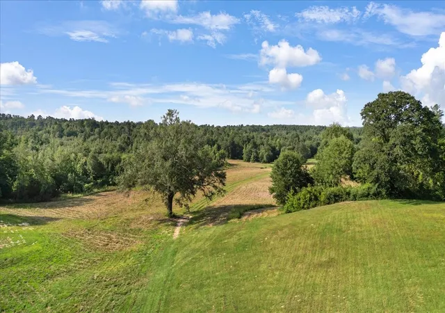 Photo 3 of Single family home for sale at 102 Private Rd 3174, Gilmer, TX 75644 | MLS# 21389266 | Listing updated on 2026-09-17