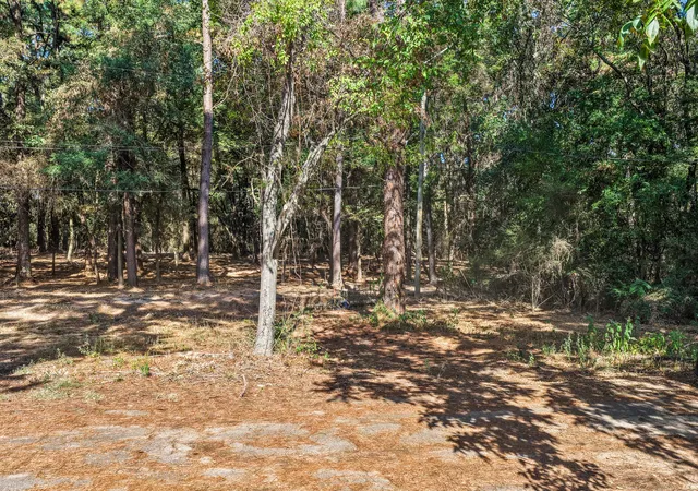 Photo 3 of Land for sale at Tbd Lockhart, Pittsburg, TX 75686 | MLS# 21389327 | Listing updated on 2026-09-18