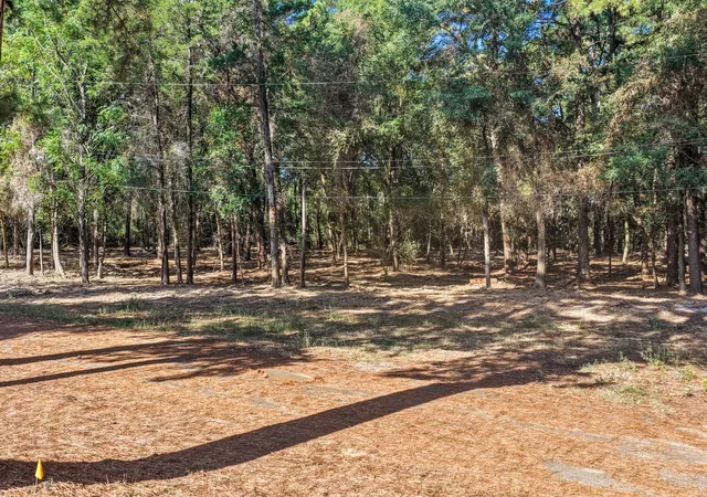 Photo 3 of Land for sale at Tbd Lockhart, Pittsburg, TX 75686 | MLS# 21389327 | Listing updated on 2026-09-18