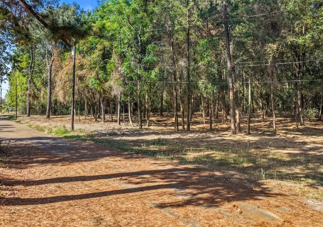 Photo 4 of Land for sale at Tbd Lockhart, Pittsburg, TX 75686 | MLS# 21389327 | Listing updated on 2026-09-18