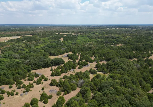 Land for sale at 85 Ac County Rd 1019, Celeste, TX 75423 | MLS# 21389652