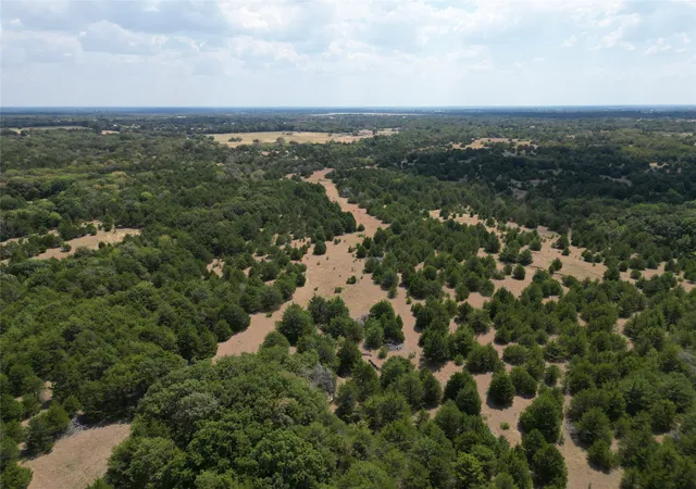 Photo 2 of Land for sale at 85 Ac County Rd 1019, Celeste, TX 75423 | MLS# 21389652 | Listing updated on 2026-09-18