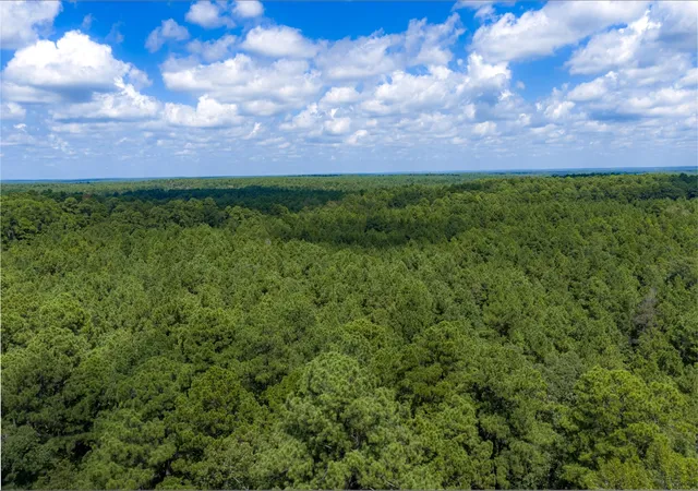 Photo 1 of Land for sale at Ne Off Of Fm 227, Kennard, TX 75847 | MLS# 21389807 | Listing updated on 2026-09-18