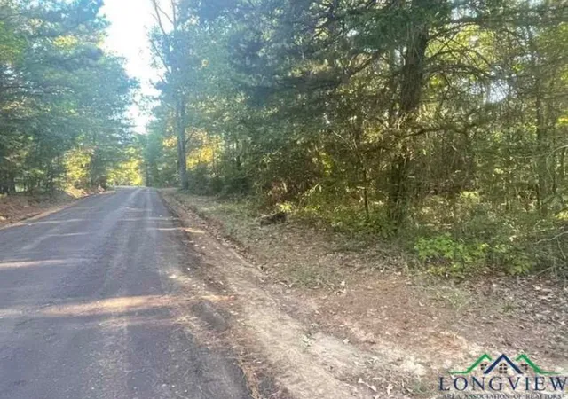 Photo 3 of Land for sale at Tbd Aster Rd, Gilmer, TX 75644 | MLS# 21390126 | Listing updated on 2026-09-18