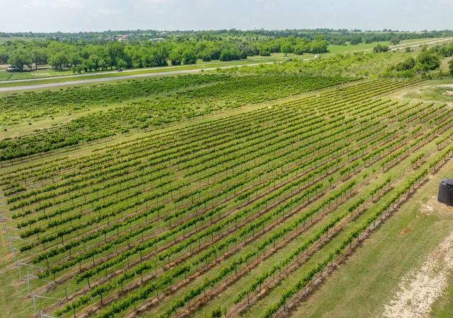 Photo 3 of Land for sale at 675 County Rd 497 A, Dublin, TX 76446 | MLS# 21390350 | Listing updated on 2026-09-19