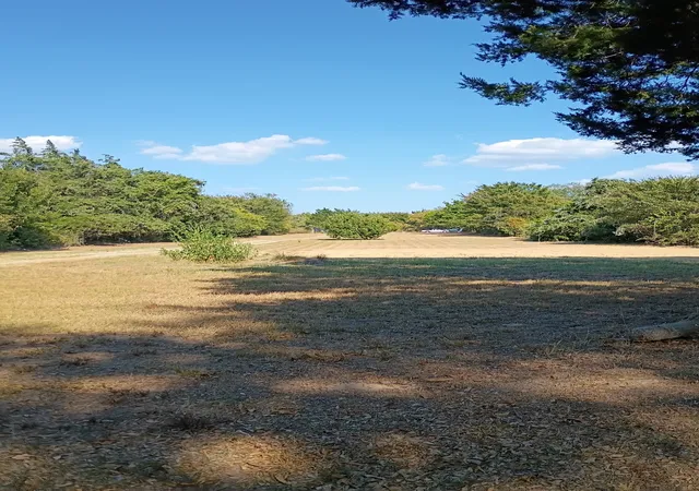 Photo 3 of Land for sale at 1703 County Rd 2101, Kemp, TX 75143 | MLS# 21390088 | Listing updated on 2026-09-28