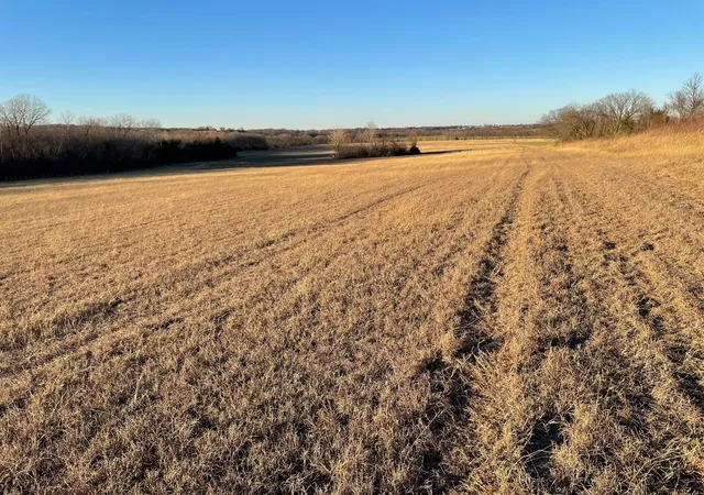 House for sale at 6196ac Mary Fitch Rd, Sherman, TX 75090 | MLS# 21390419 | Listing updated on 2026-09-22
