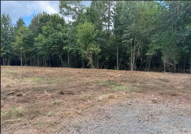 Photo 1 of Land for sale at 0 Highway 172, Keatchie, LA 71046 | MLS# 21390434 | Listing updated on 2026-09-19