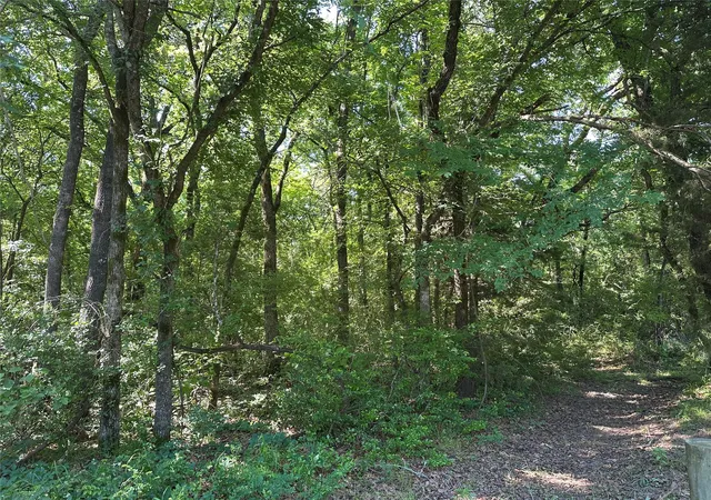 Photo 4 of Land for sale at Tbd Lcr 403, Groesbeck, TX 76667 | MLS# 21390231 | Listing updated on 2026-09-19