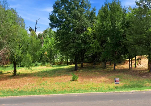 Photo 3 of Land for sale at 703 Clubview Dr, Kemp, TX 75143 | MLS# 21388260 | Listing updated on 2026-09-24