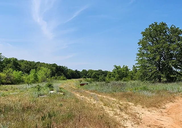 Photo 2 of Land for sale at 301 Timber Trl, Alvord, TX 76225 | MLS# 21390791 | Listing updated on 2026-09-19