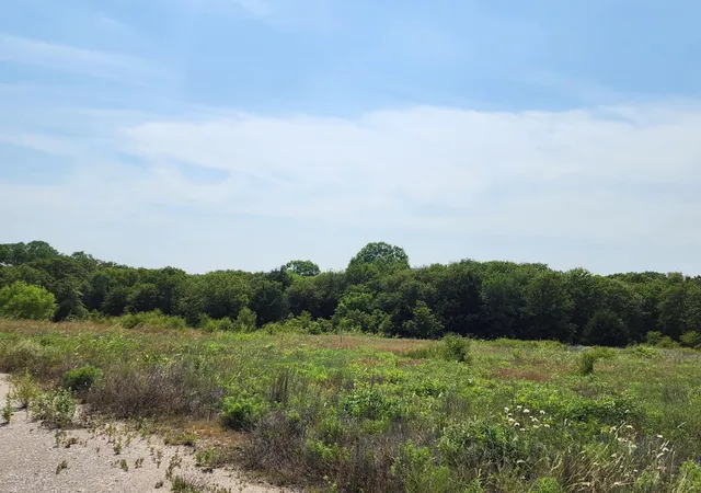 Photo 3 of Land for sale at 301 Timber Trl, Alvord, TX 76225 | MLS# 21390791 | Listing updated on 2026-09-19