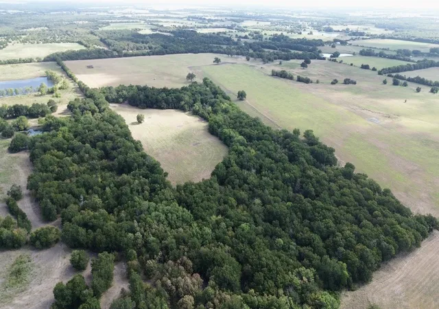 Photo 1 of Land for sale at 4587 County Rd 1134, Leonard, TX 75452 | MLS# 21379227 | Listing updated on 2026-09-19