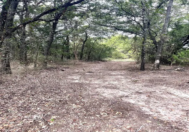 Photo 3 of Land for sale at 334 Greanead Rd, Forestburg, TX 76239 | MLS# 21391063 | Listing updated on 2026-09-19