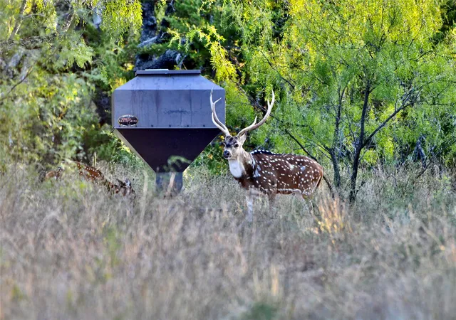 Photo 3 of Land for sale at 267 County Rd 112, Goldthwaite, TX 76844 | MLS# 21391089 | Listing updated on 2026-09-19