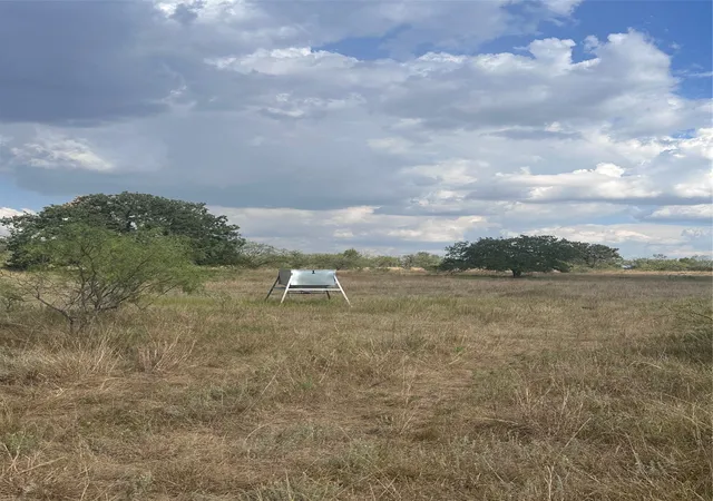 Photo 2 of Land for sale at 384 County Rd 406, Carbon, TX 76435 | MLS# 21391061 | Listing updated on 2026-09-20