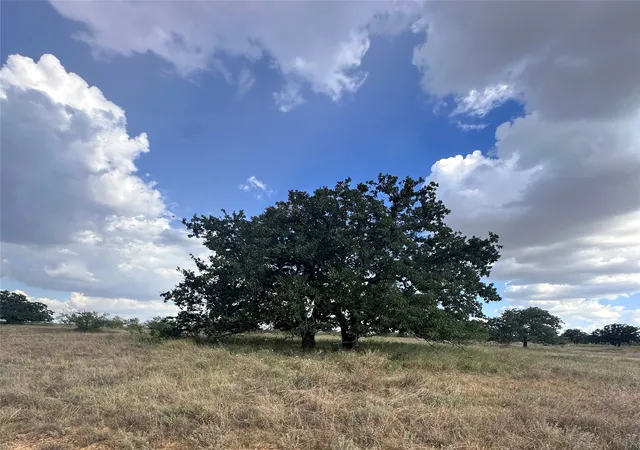 Photo 3 of Land for sale at 384 County Rd 406, Carbon, TX 76435 | MLS# 21391061 | Listing updated on 2026-09-20