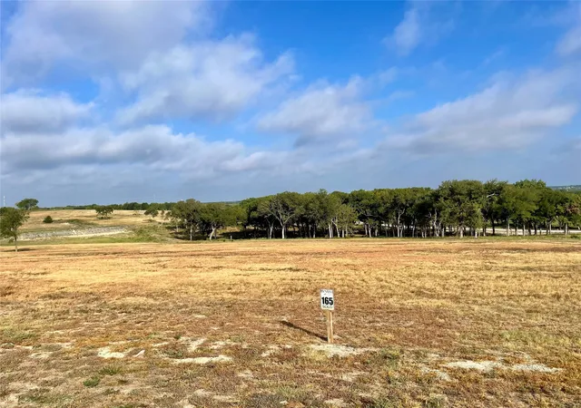 Land for sale at 165 Caballo Dr, Oak Leaf, TX 75154 | MLS# 21390965