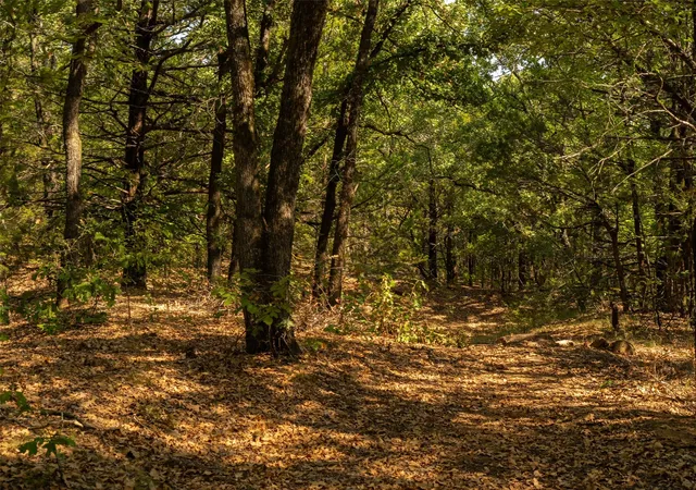 Photo 2 of Land for sale at 4 Acres Tiffany Ln, Whitesboro, TX 76273 | MLS# 21391408 | Listing updated on 2026-09-28