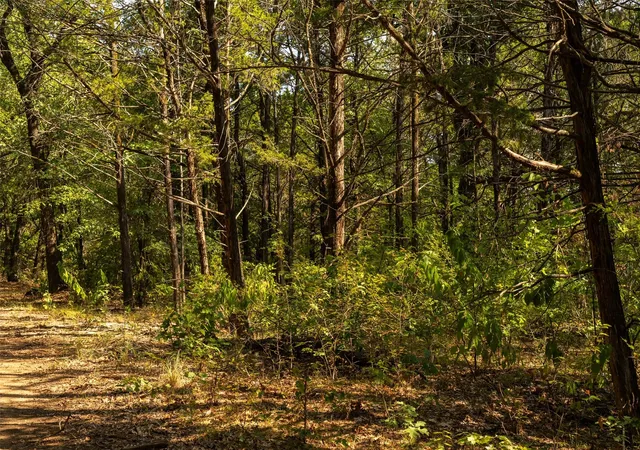 Photo 3 of Land for sale at 4 Acres Tiffany Ln, Whitesboro, TX 76273 | MLS# 21391408 | Listing updated on 2026-09-28