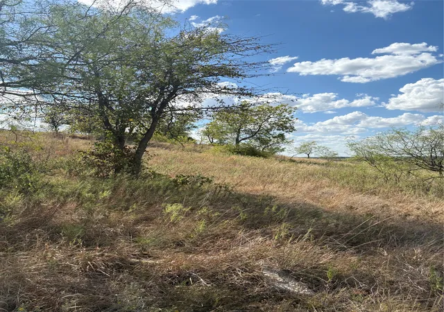 Land for sale at 19 Parks Medow Dr, Gustine, TX 76455 | MLS# 21391521