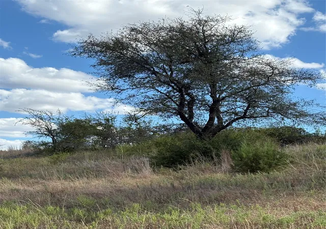 Photo 2 of Land for sale at 19 Parks Medow Dr, Gustine, TX 76455 | MLS# 21391521 | Listing updated on 2026-09-28