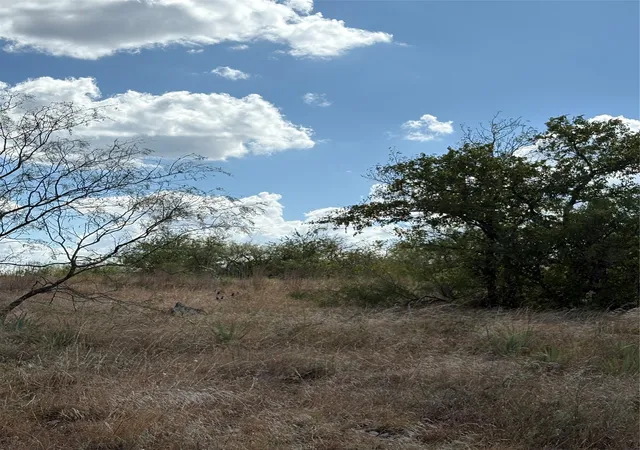 Photo 3 of Land for sale at 19 Parks Medow Dr, Gustine, TX 76455 | MLS# 21391521 | Listing updated on 2026-09-28