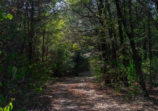 Photo 2 of Land for sale at 5 S Acres +  Faye Ln, Whitesboro, TX 76273 | MLS# 21391612 | Listing updated on 2026-09-21